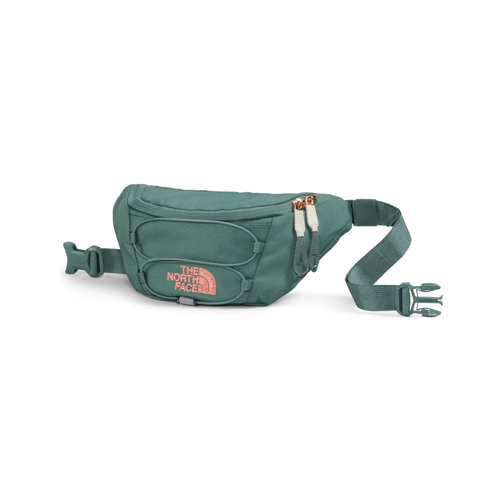 North face hip 2025 bag